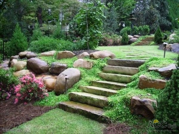 разработать дизайн двора