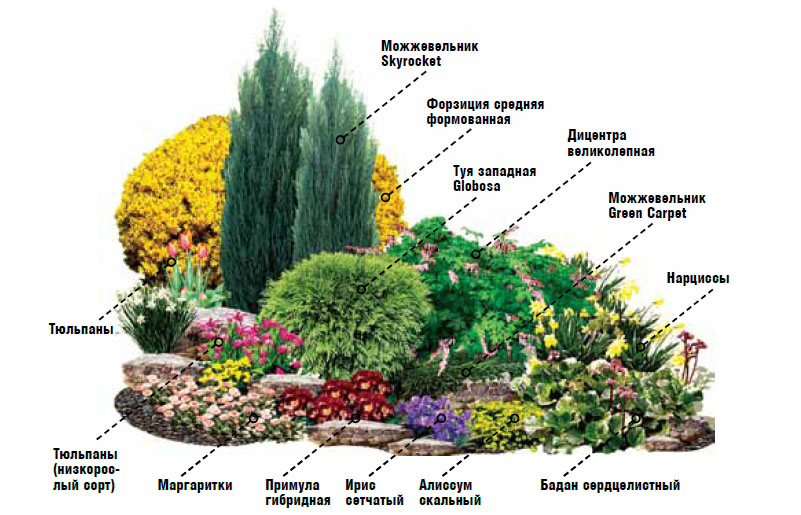 Первоцветы