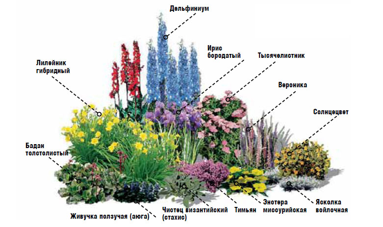 «Нежность»