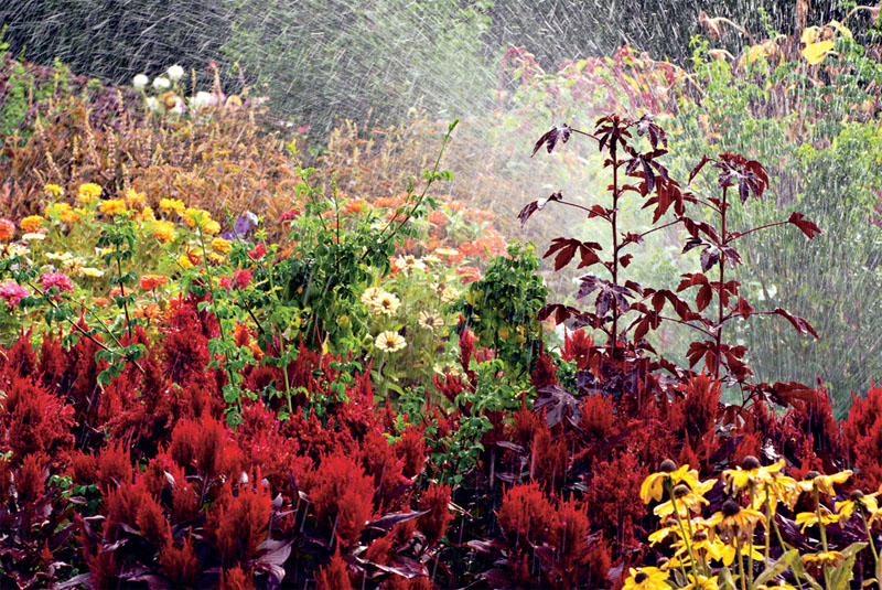 Орошение клумбы