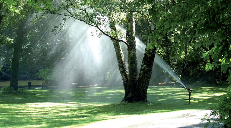 Поливка газонов